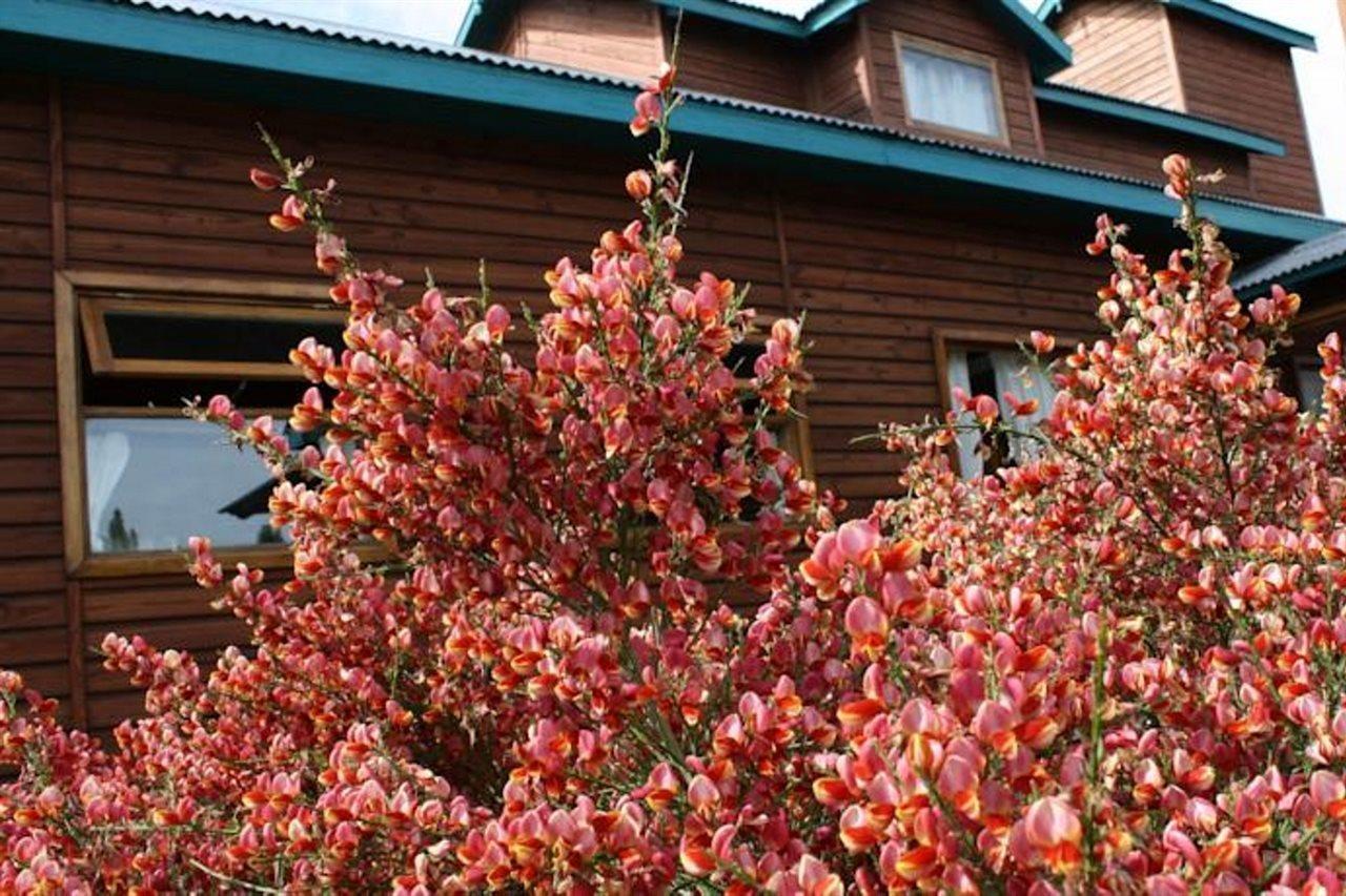 Hosteria Hainen El Calafate Extérieur photo